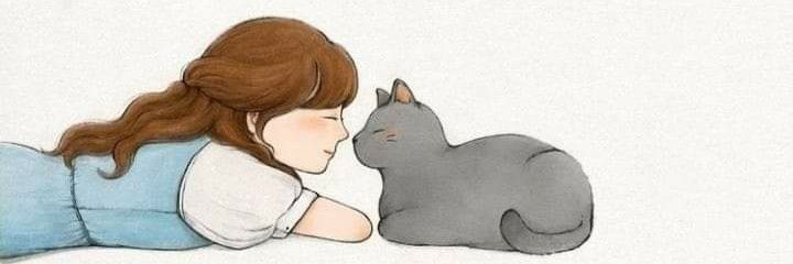 Jimecrazy's profile banner image