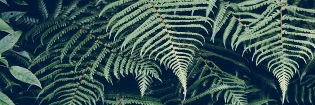 AgusFormoso's profile banner image