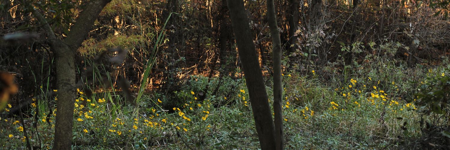 erthbnd1's profile banner image