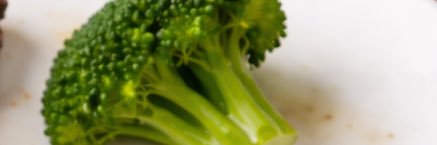 A Piece of Broccoli and One Other Thing banner
