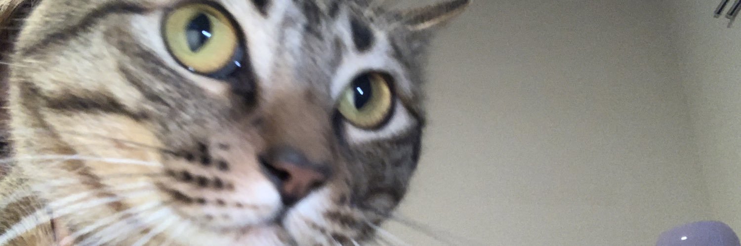 gypsyheart3's profile banner image