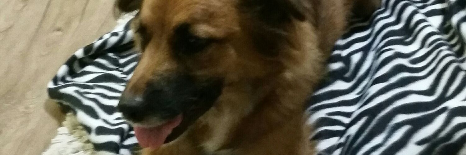 HeyRoonie's profile banner image