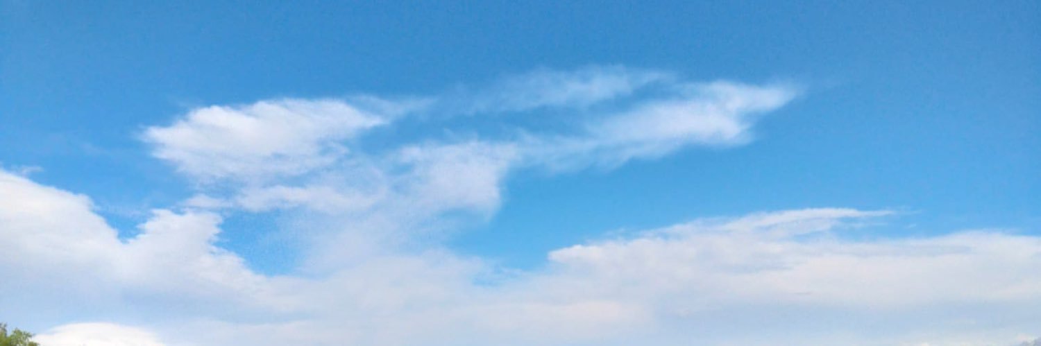 Senaw0c's profile banner image