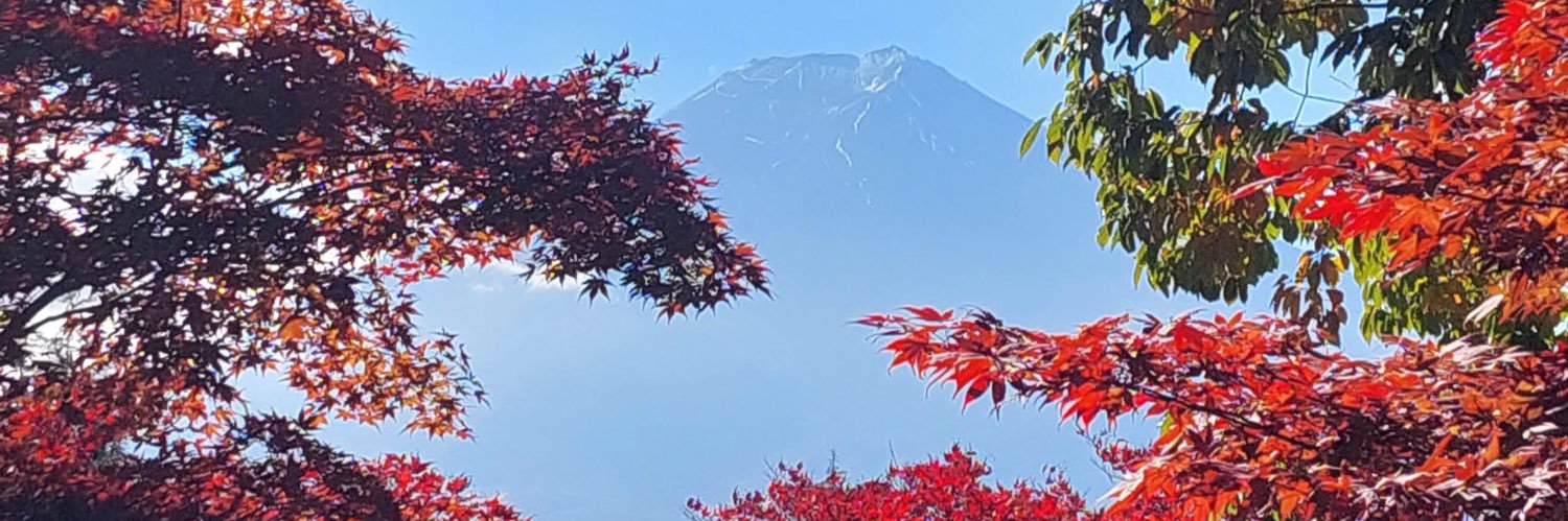 bababangs's profile banner image