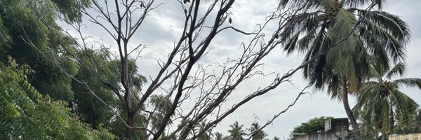 Sulthan_uncle Profile Banner