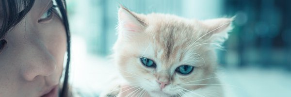 kuro43063051 Profile Banner