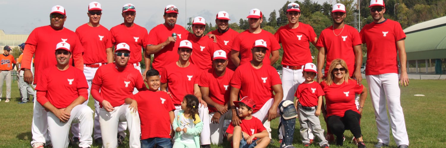 C.B.S. Toros Pamplona banner