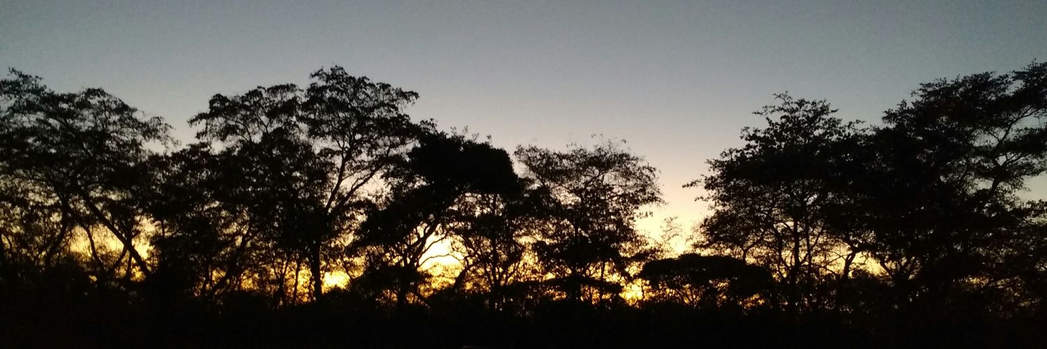 Paula_Gil6's profile banner image