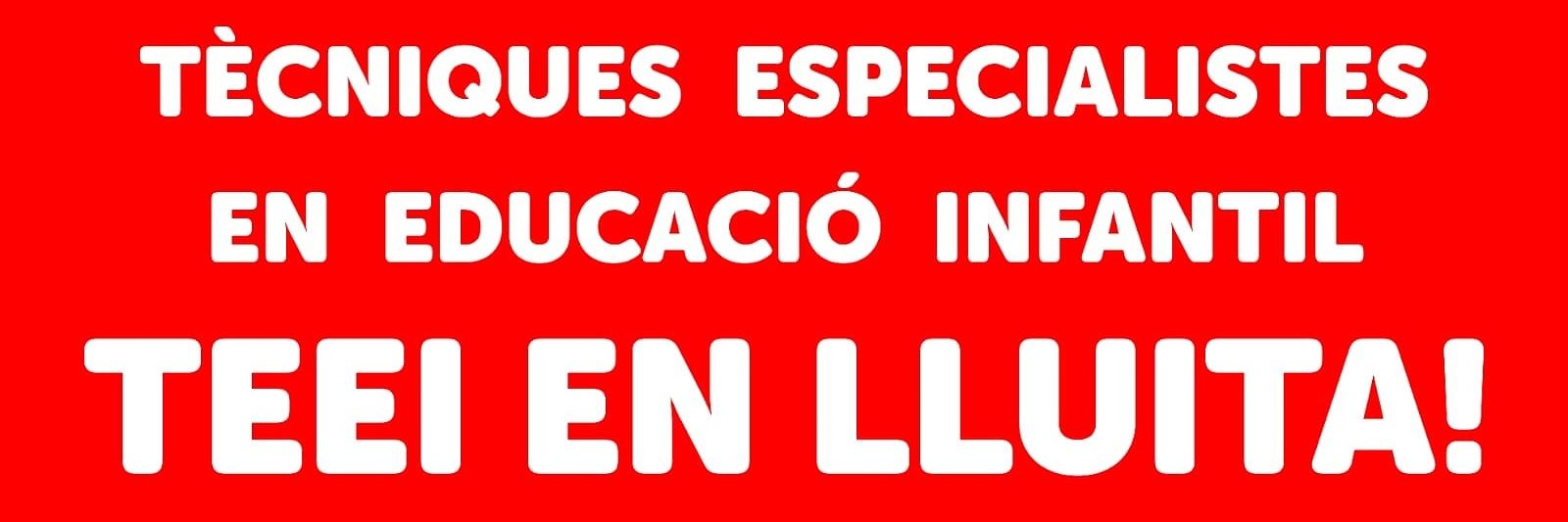 Plataforma d'Interines TEEI banner