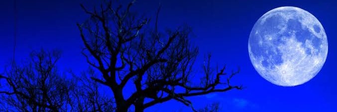 Chevalier_TK's profile banner image