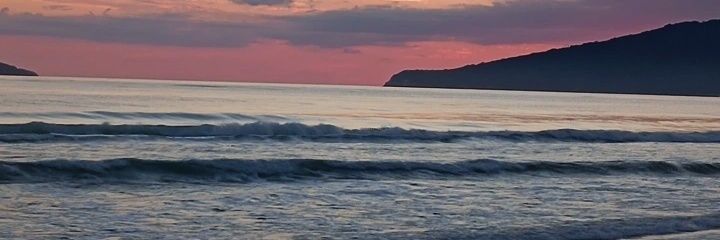 Delfii_Farinase's profile banner image