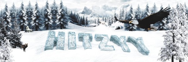 hitzyy Profile Banner