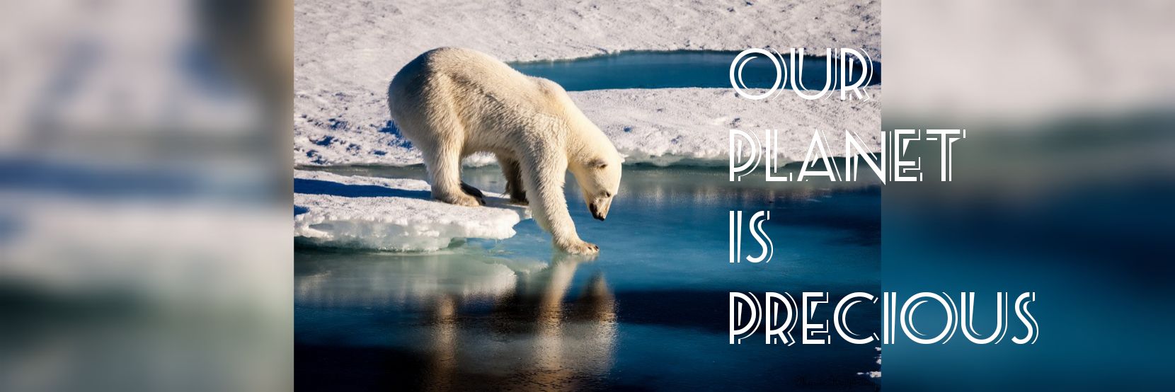 Adnan Alamgir banner