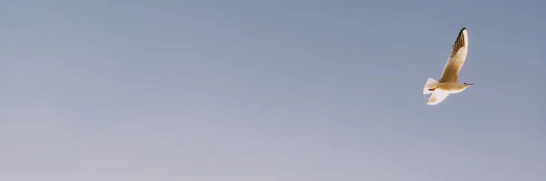 renyun4u's profile banner image
