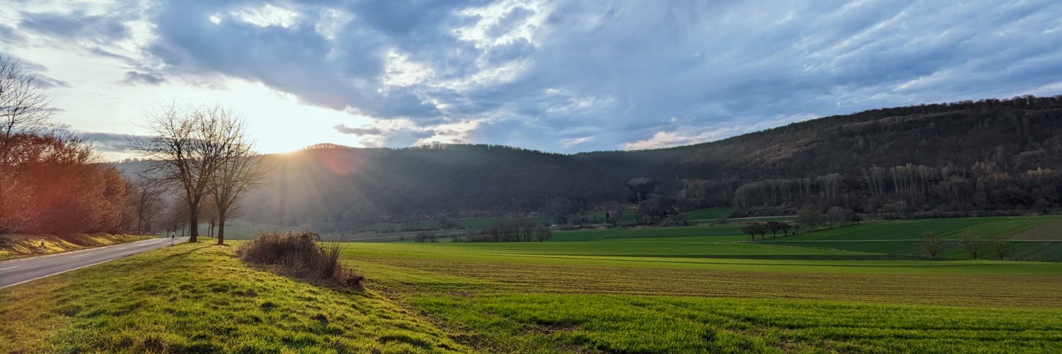 Windpark Reinhardswald dagegen! banner