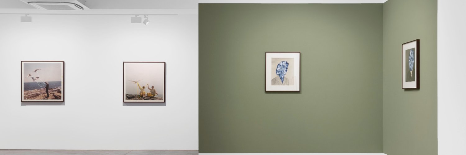 Flowers Gallery banner