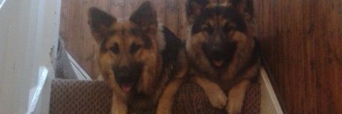 amarchillin's profile banner image