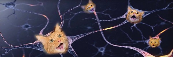 DrDariaAnderson Profile Banner