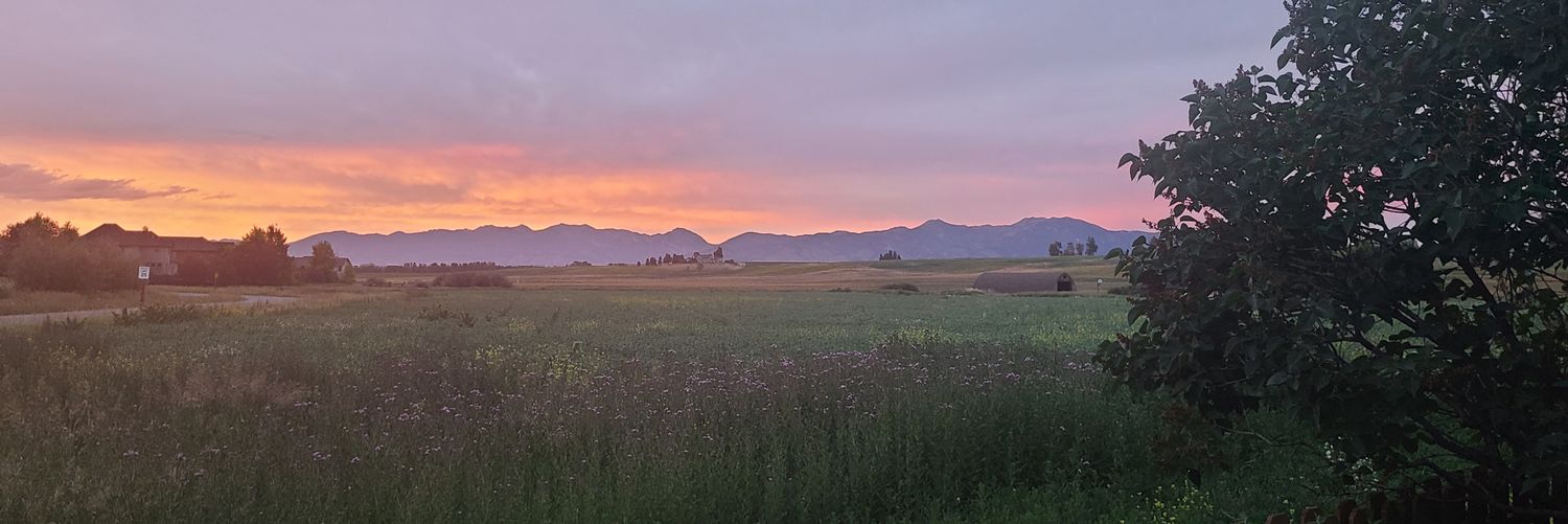 bzerker66's profile banner image