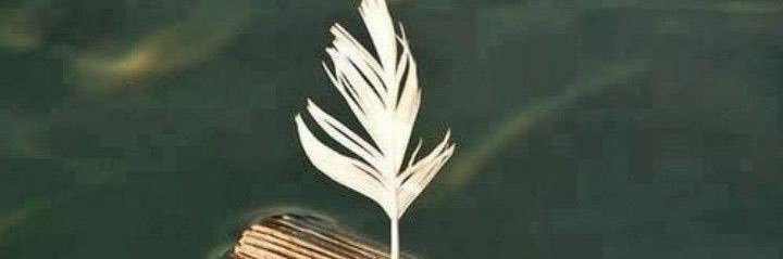 vsk1971's profile banner image