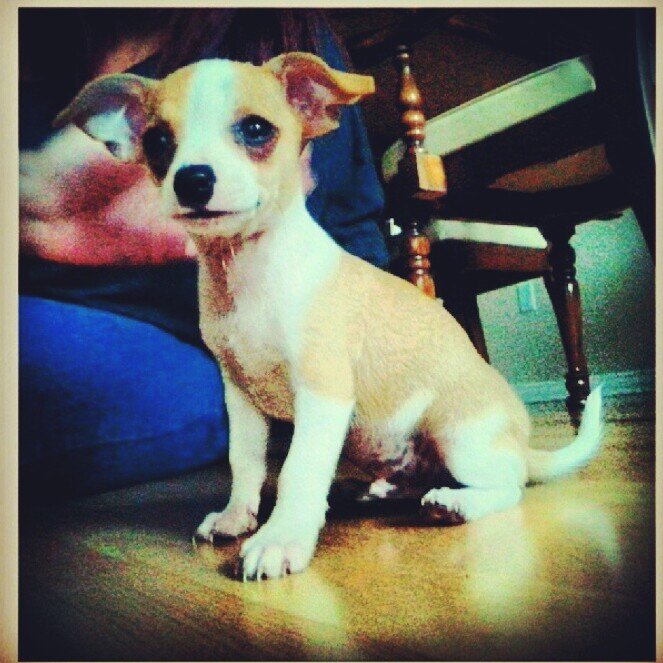 Tootsie__'s profile banner image