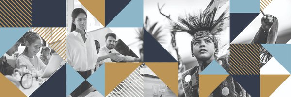 NativeMNFacts Profile Banner