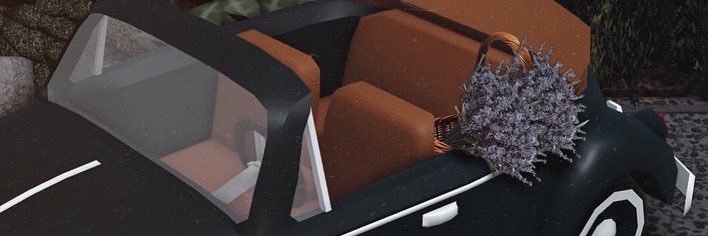 𝐂𝐚𝐫𝐨𝐥𝐢𝐧𝐞 𝐕𝐚𝐧𝐝𝐞𝐫𝐛𝐢𝐥𝐭 banner