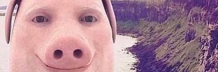 Oggyoggy banner