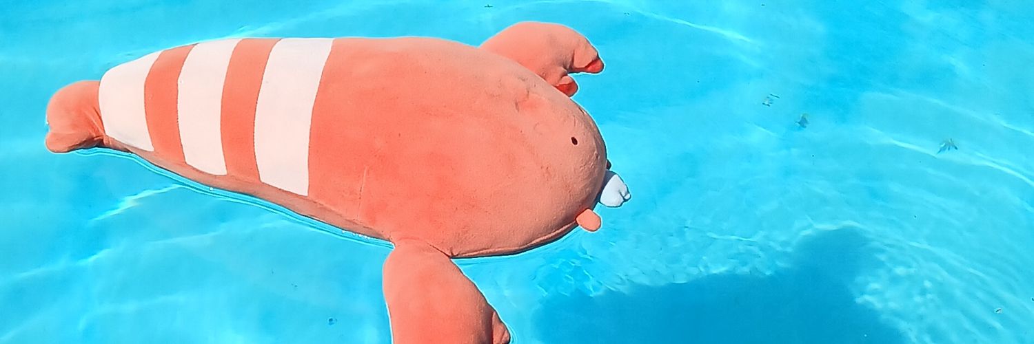 SKookye's profile banner image