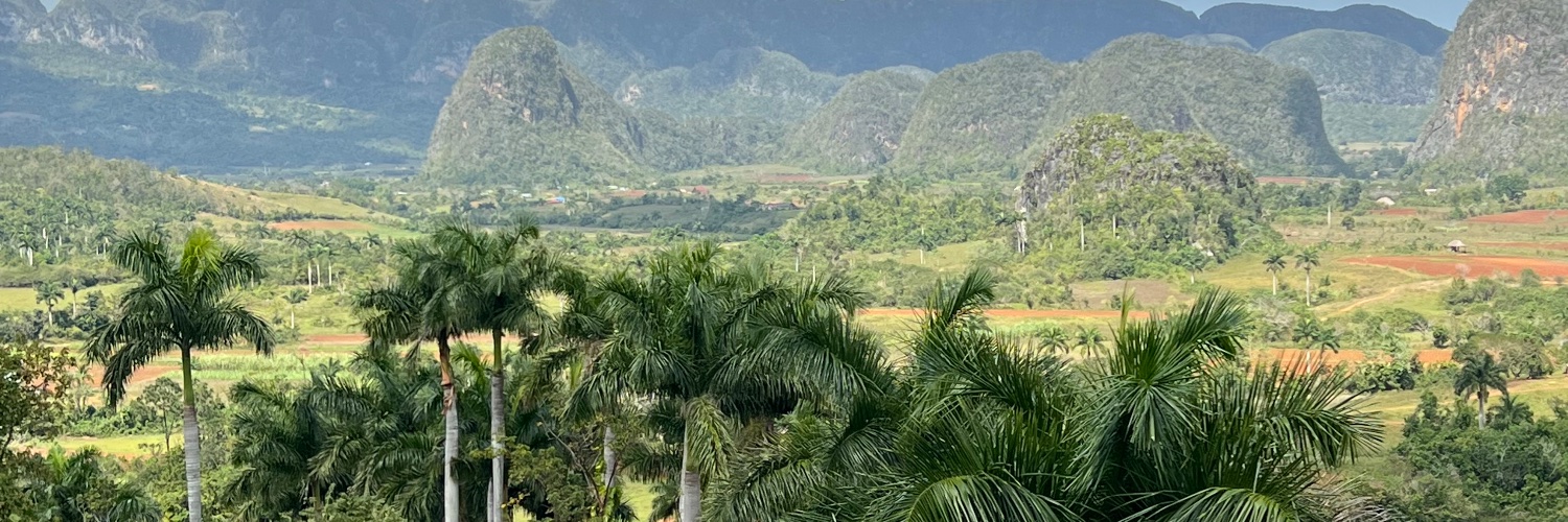 Caroline Benyon banner