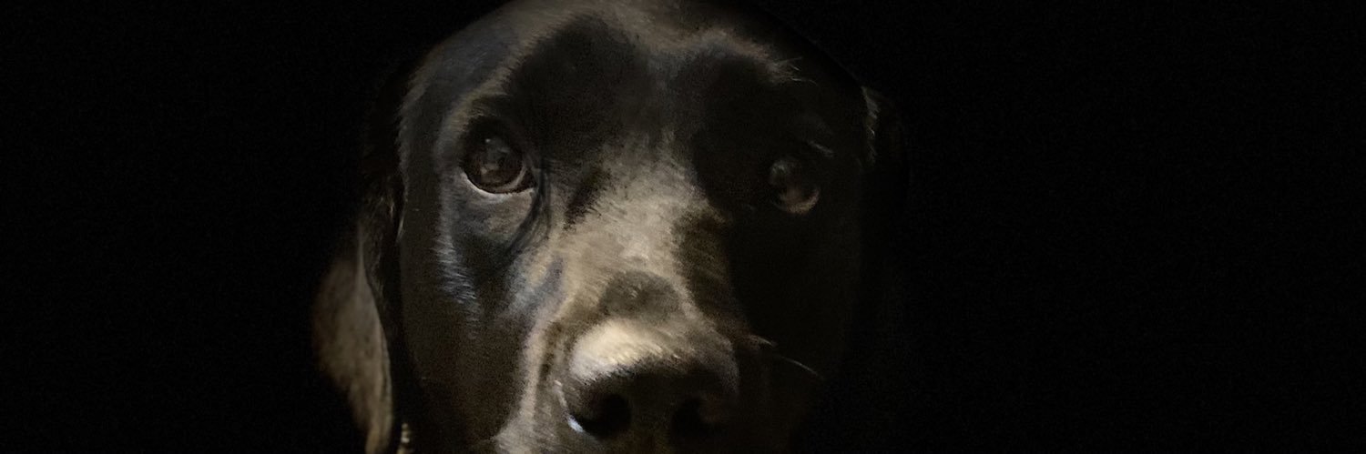 erpabloo's profile banner image