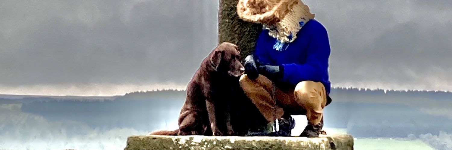 Bill Blockhead banner