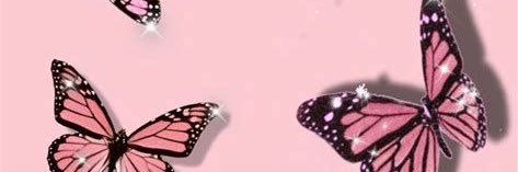 kendraboydston's profile banner image