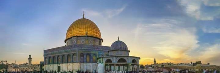 ShaerShadi's profile banner image