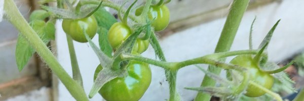 s_wahaaj Profile Banner