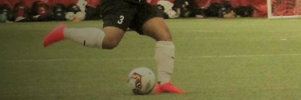 Taya-Reese Johnson banner