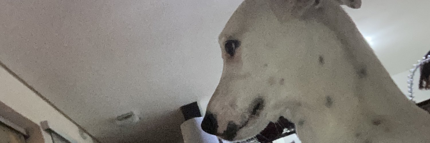leleozzin's profile banner image