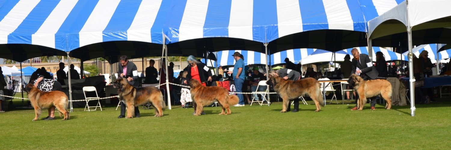 CvLeonbergers's profile banner image