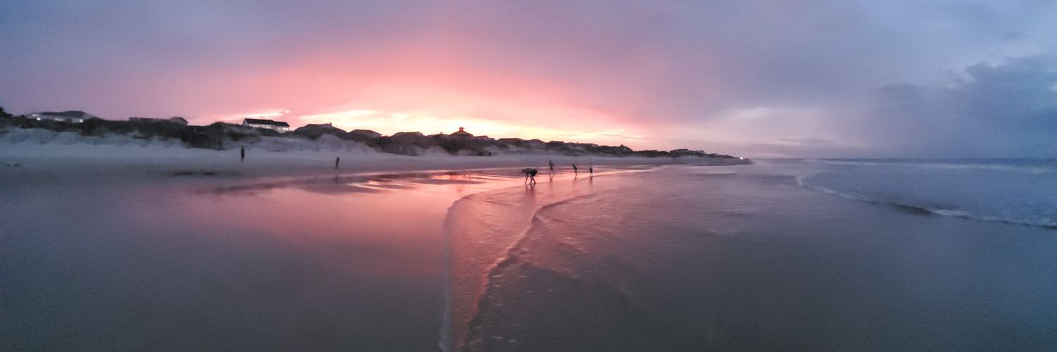 Stephanie Sayne banner