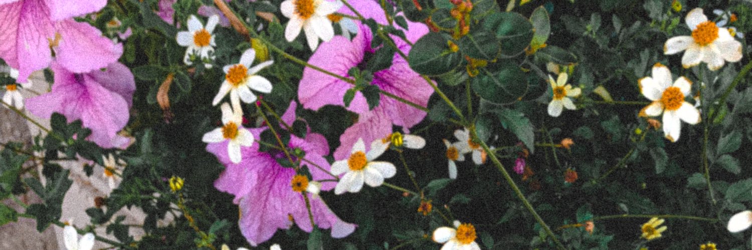 ysemusic's profile banner image