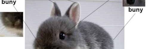 🔞 Rj's Rabbit Hole 🔞 banner