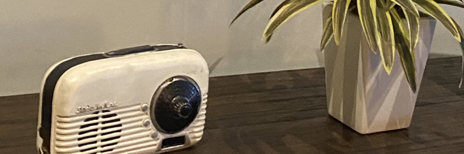 Lilaxmdf's profile banner image