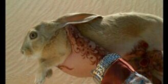 sdfr5991's profile banner image