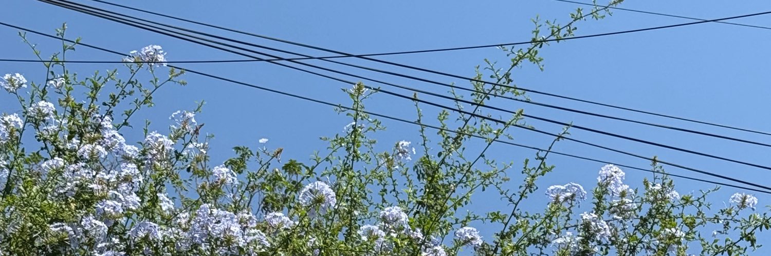 procrastinar7's profile banner image