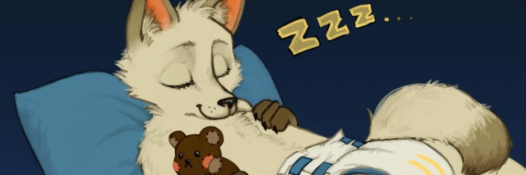 Dimsy banner