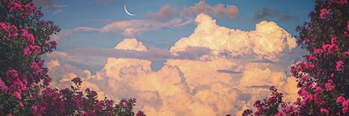Lisethp96's profile banner image