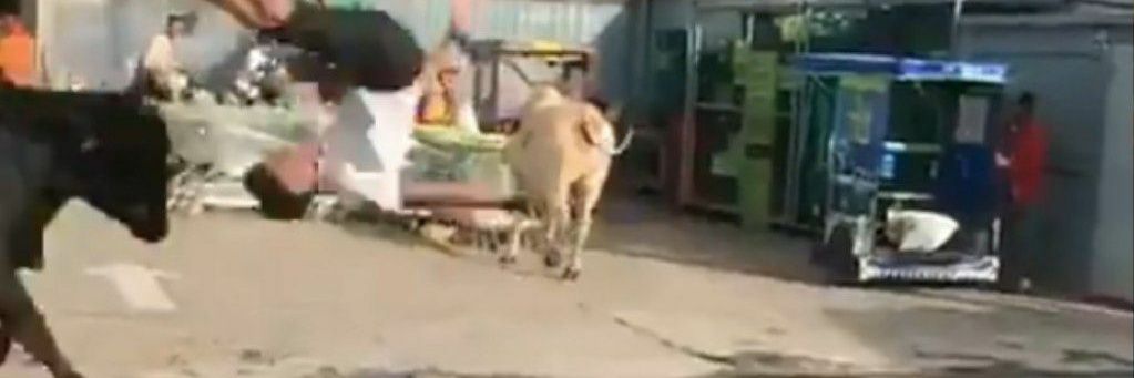 Museo Salvadoreño del Internet banner