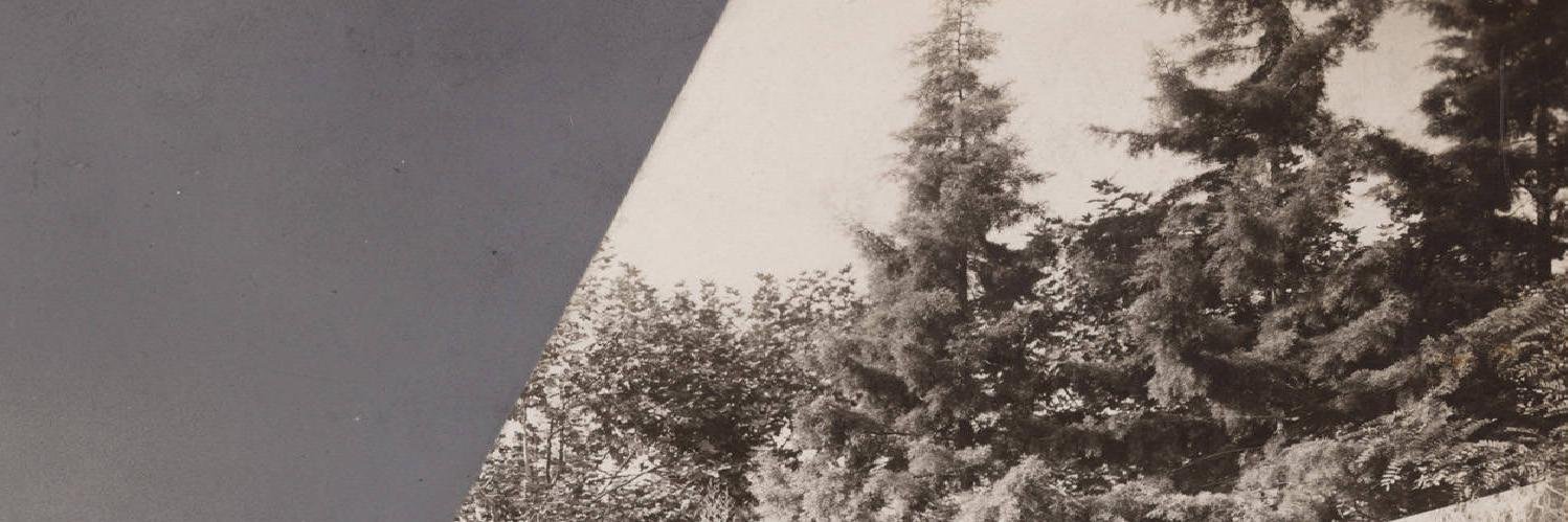 kralcjm's profile banner image