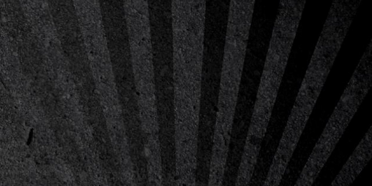 nlobocki's profile banner image