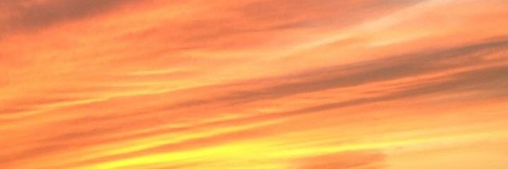 c_machiko's profile banner image